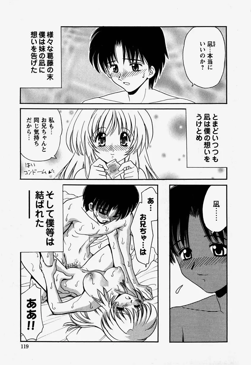 [Yamazaki Umetarou] Onii-chan to Issho - Together with an elder brother Fhentai - Page 118