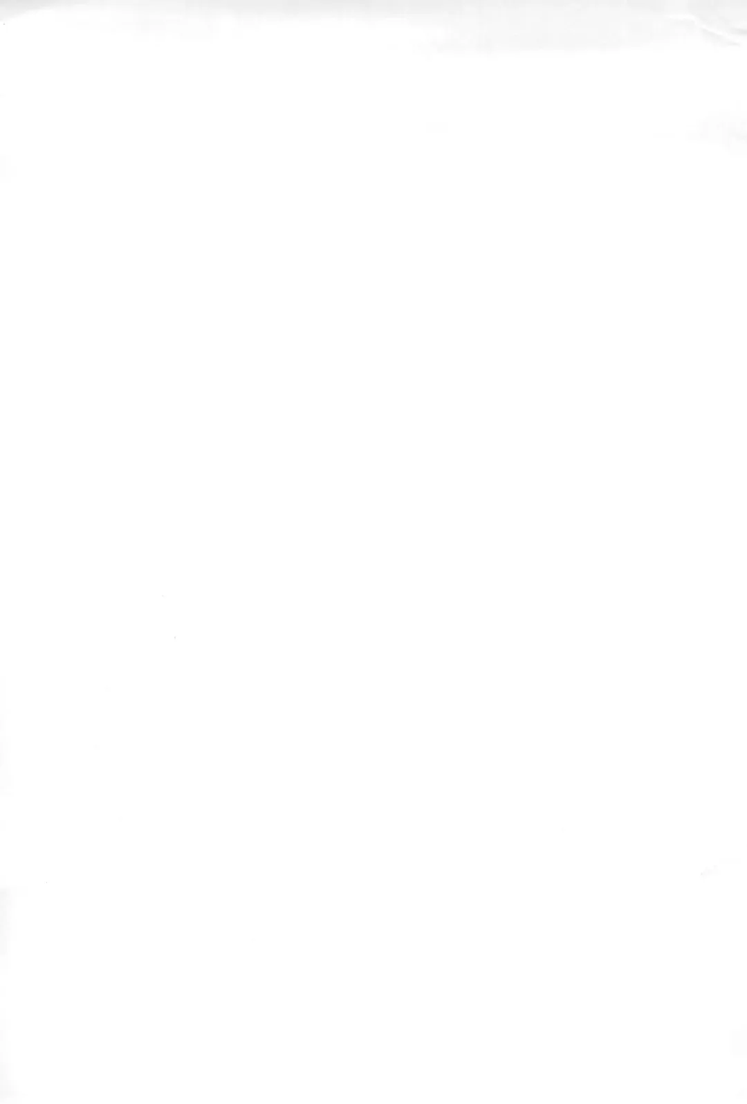 [Serizawa Yuuji] SECRET OF OKKO Fhentai - Page 11