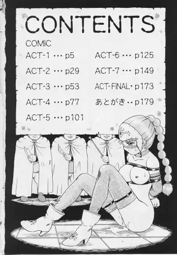 [Irie Yamazaki] Princess Hunters Fhentai - Page 10