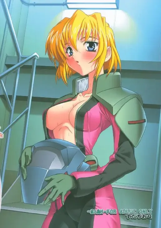 [Natsuka Q-ya] Lacus Destiny - Soushuuhen 2 Fhentai - Page 79