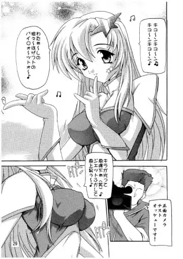 [Natsuka Q-ya] Lacus Destiny - Soushuuhen 2 Fhentai - Page 26