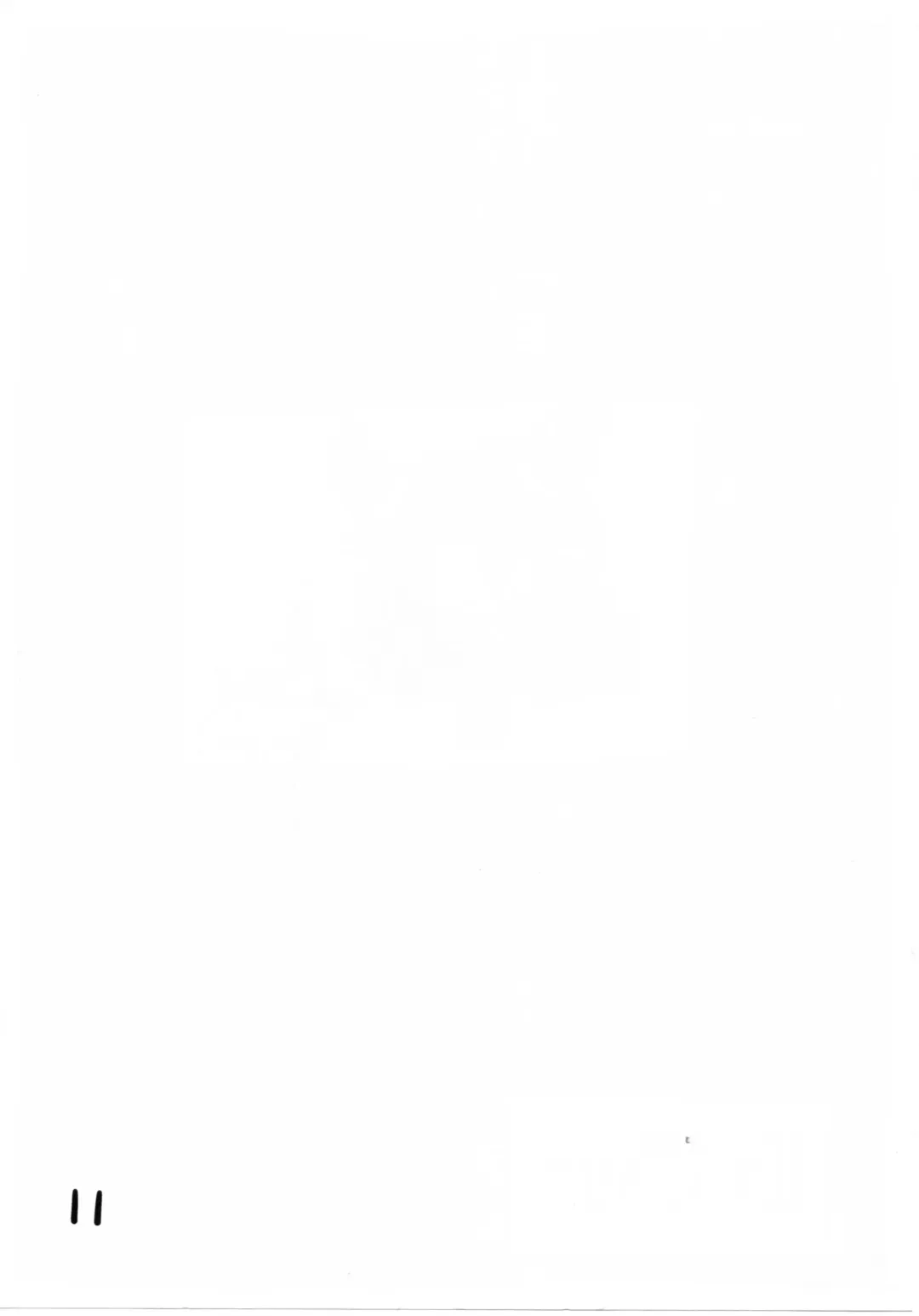 [Aim] Nakadashi Royal Fhentai - Page 11