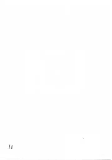 [Aim] Nakadashi Royal Fhentai - Page 11