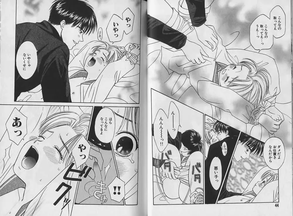 [Cj Michalski] Boku no Goshuujin-sama ~AS YOU WISH~ Fhentai - Page 23