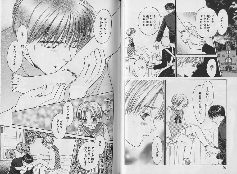 [Cj Michalski] Boku no Goshuujin-sama ~AS YOU WISH~ Fhentai - Page 30