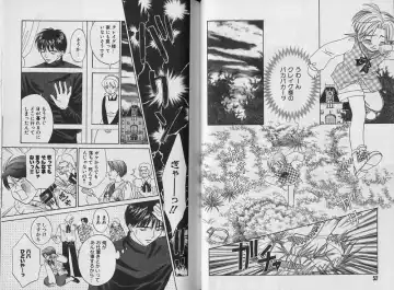 [Cj Michalski] Boku no Goshuujin-sama ~AS YOU WISH~ Fhentai - Page 27