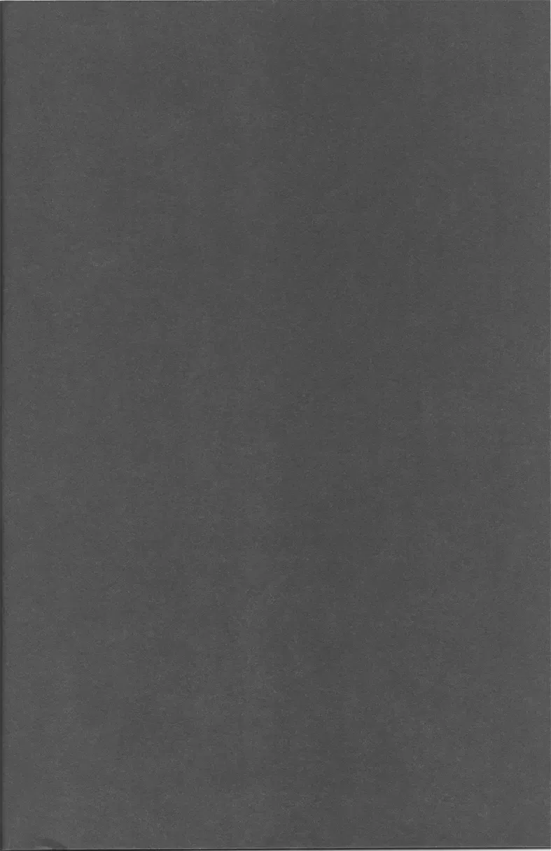 [Kiri] KiSS Fhentai - Page 17