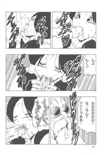 [Youngjijii] Videl LOVE Fhentai - Page 15