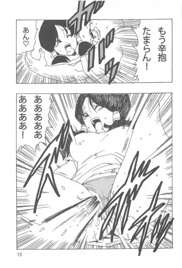 [Youngjijii] Videl LOVE Fhentai - Page 16