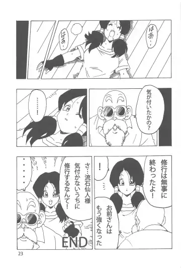[Youngjijii] Videl LOVE Fhentai - Page 24