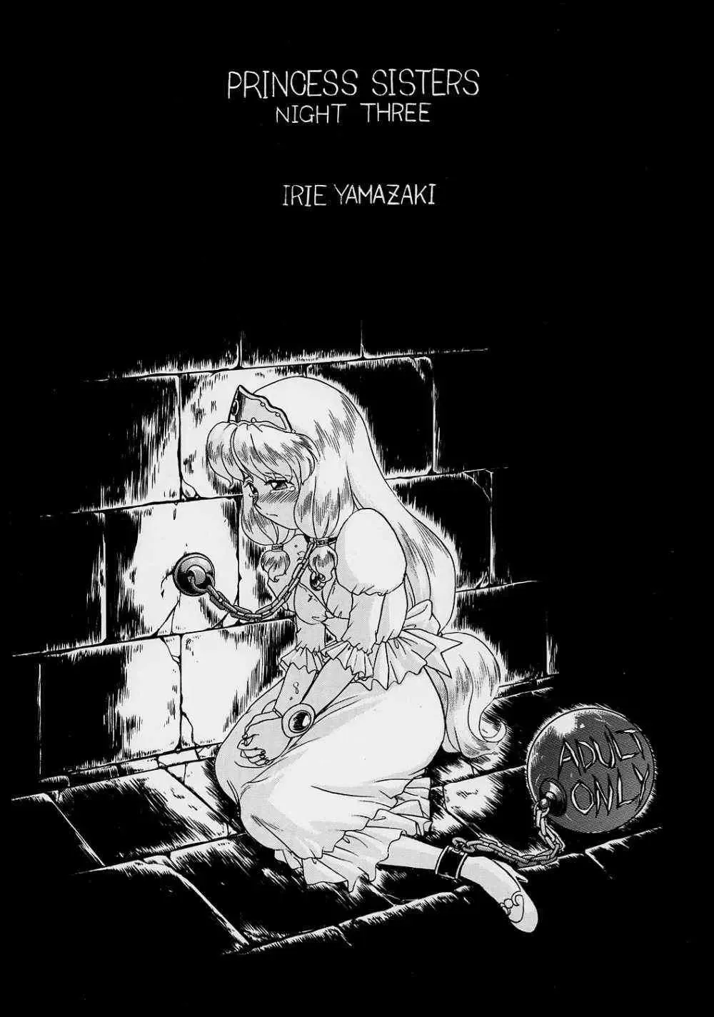 [Irie Yamazaki] PRINCESS SISTERS NIGHT THREE Fhentai - Page 78
