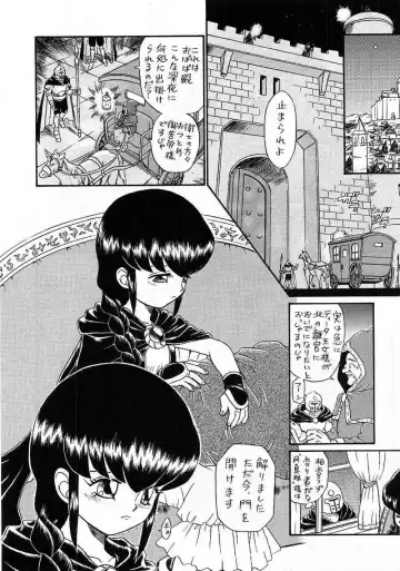 [Irie Yamazaki] PRINCESS SISTERS NIGHT THREE Fhentai - Page 5