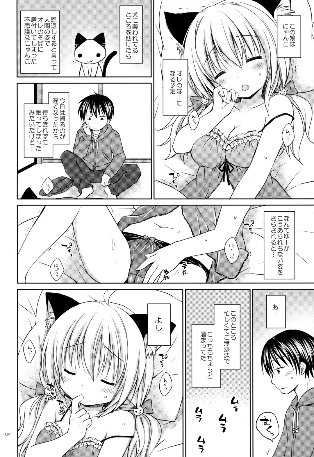 [Rico] Nyanko Yome no Hatsujouki Fhentai - Page 3