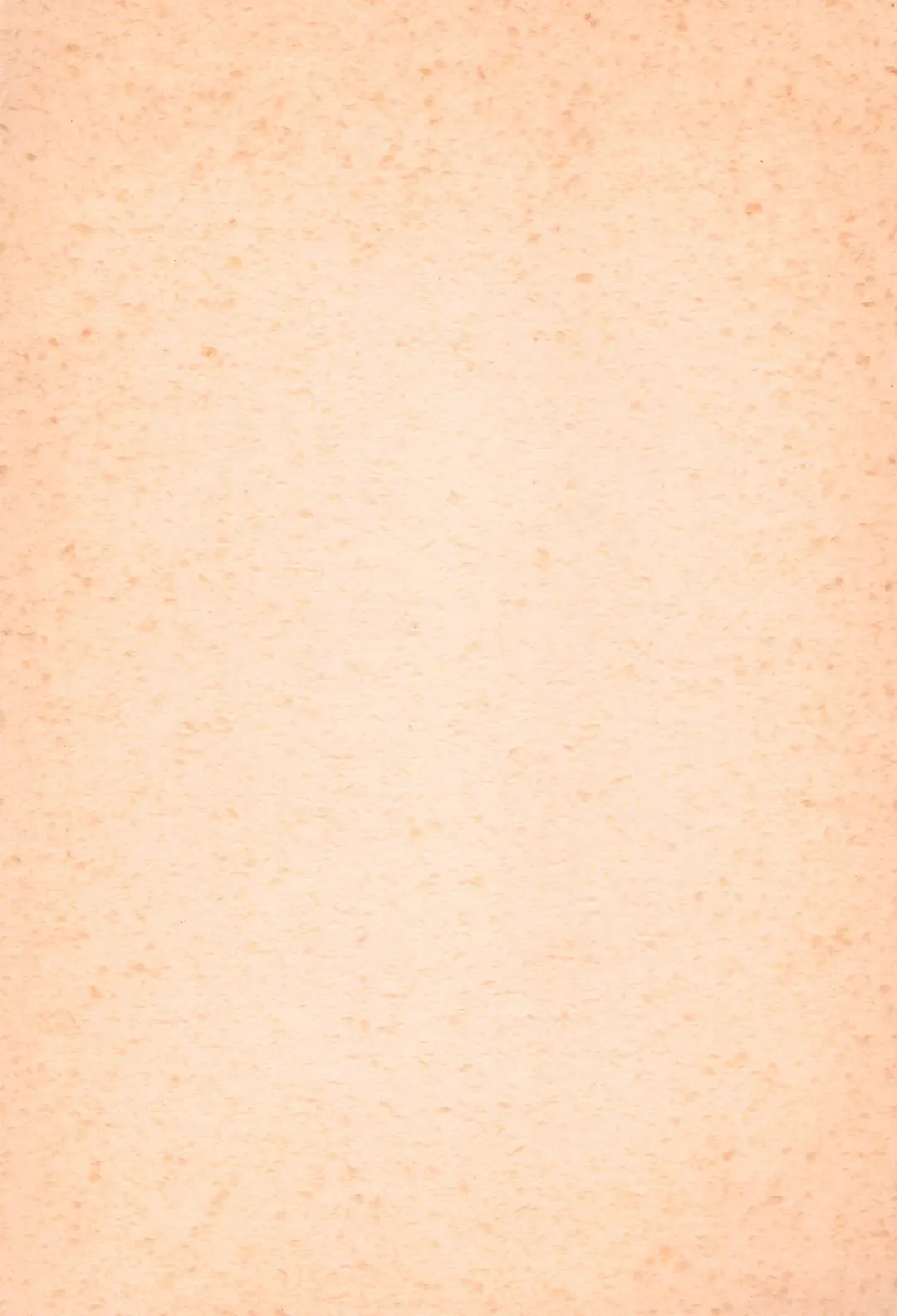 BRAID ON BLADE The Secondary Edition Fhentai - Page 3