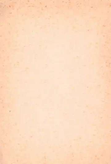 BRAID ON BLADE The Secondary Edition Fhentai - Page 37