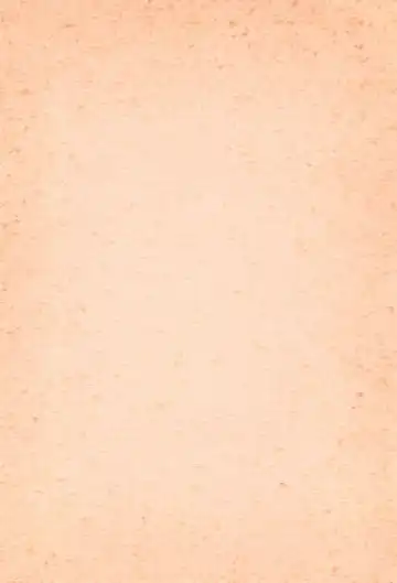 BRAID ON BLADE The Secondary Edition Fhentai - Page 38