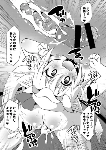 [Koizumi Hitsuji] Flan-chan x Ecchi na Doubutsurei Fhentai - Page 10