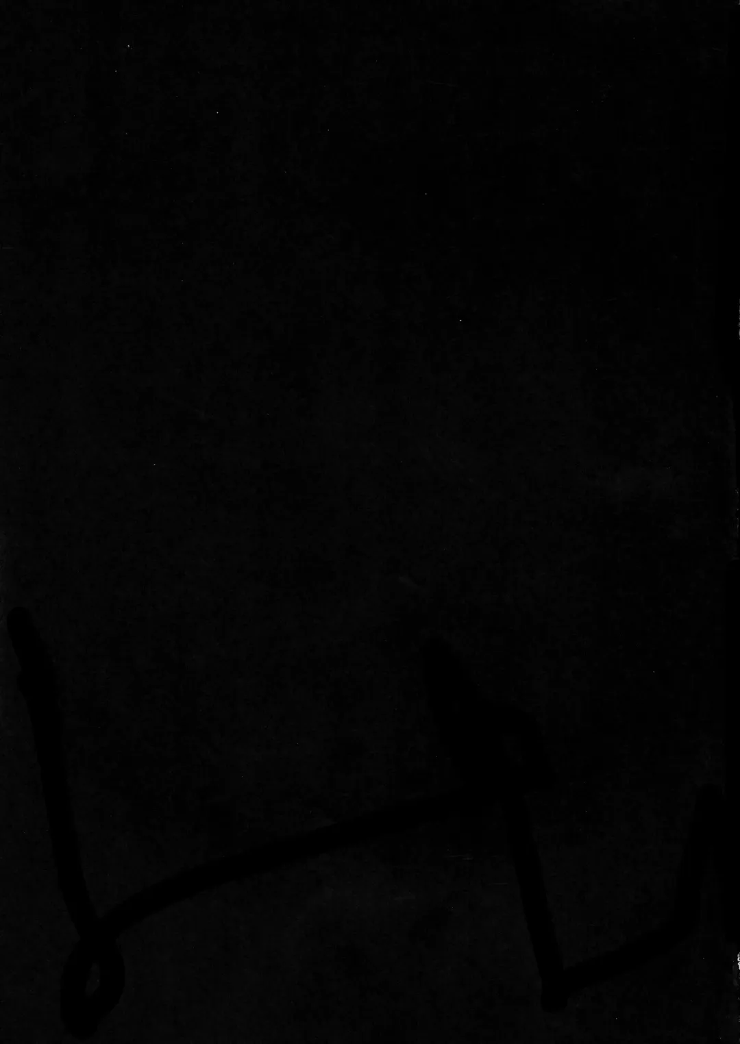 [Oi Kaede] Aigan Futanari Kazehafuri Fhentai - Page 21