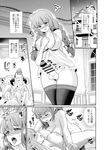 [Shikigami Kuroko] Futanari Elf no Tanetsuke Bokujou 2 Fhentai - Page 4