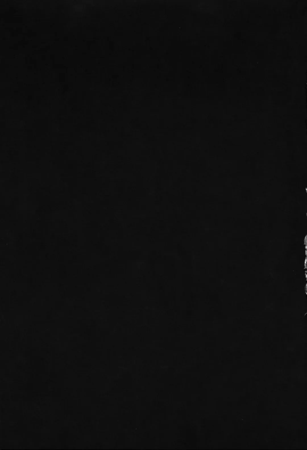 [Kurosu Gatari] Wild-shiki Nihonjin Tsuma no Netorikata Sono Ni Fhentai - Page 52