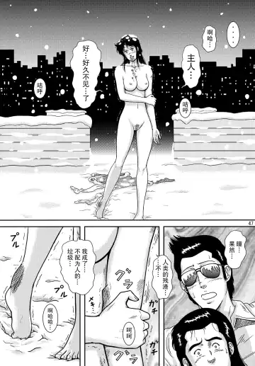 [Crack] NIGHTFLY vol.10 PLEASE COME HOME for X'mas Fhentai - Page 47