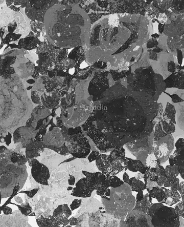 [Himemiko] Arcadia Fhentai - Page 3