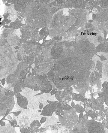 [Himemiko] Arcadia Fhentai - Page 4