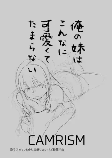 [Kito Sakeru] Ore no Imouto ga Konna ni Kawaikute Tamaranai Fhentai - Page 3