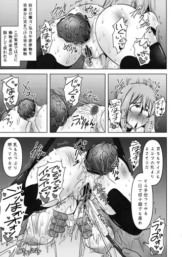 [Ryutou] Koujun Senhime Elsain VANQUISHED SHIELD 3 Fhentai - Page 17