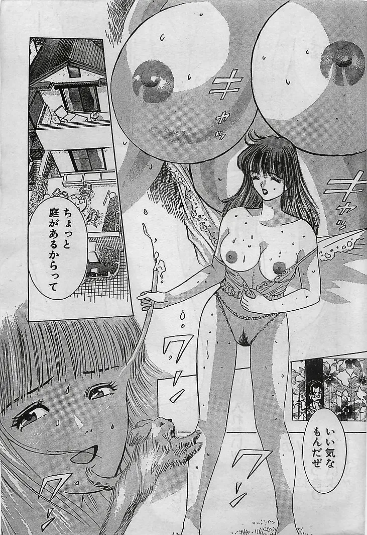 COMIC Petit Angel 1995-08 Fhentai - Page 13
