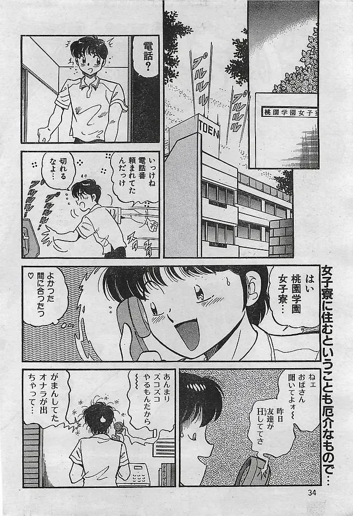 COMIC Petit Angel 1995-08 Fhentai - Page 34