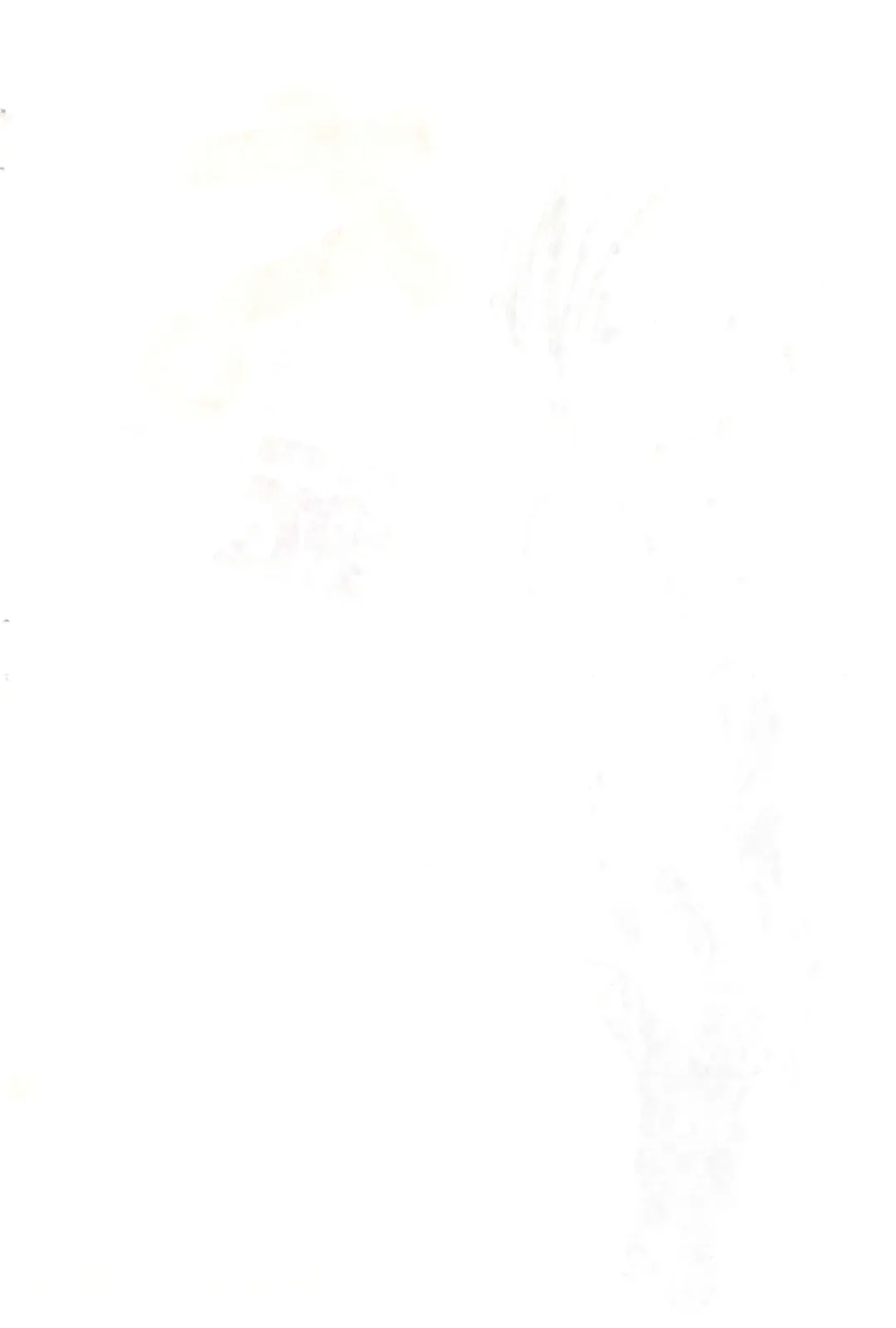 [Wancho] Daikaiten Gonin Musume Fhentai - Page 2