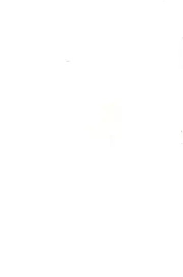 [Wancho] Daikaiten Gonin Musume Fhentai - Page 9