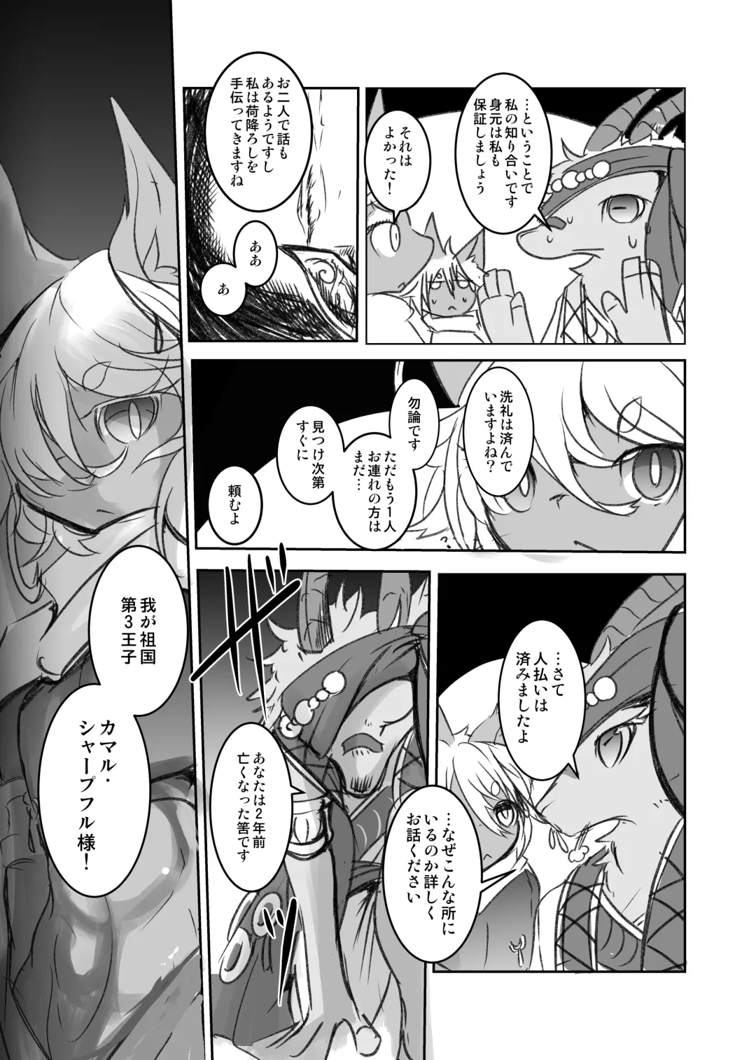 [Mujina] Arabic Knight Fhentai - Page 20