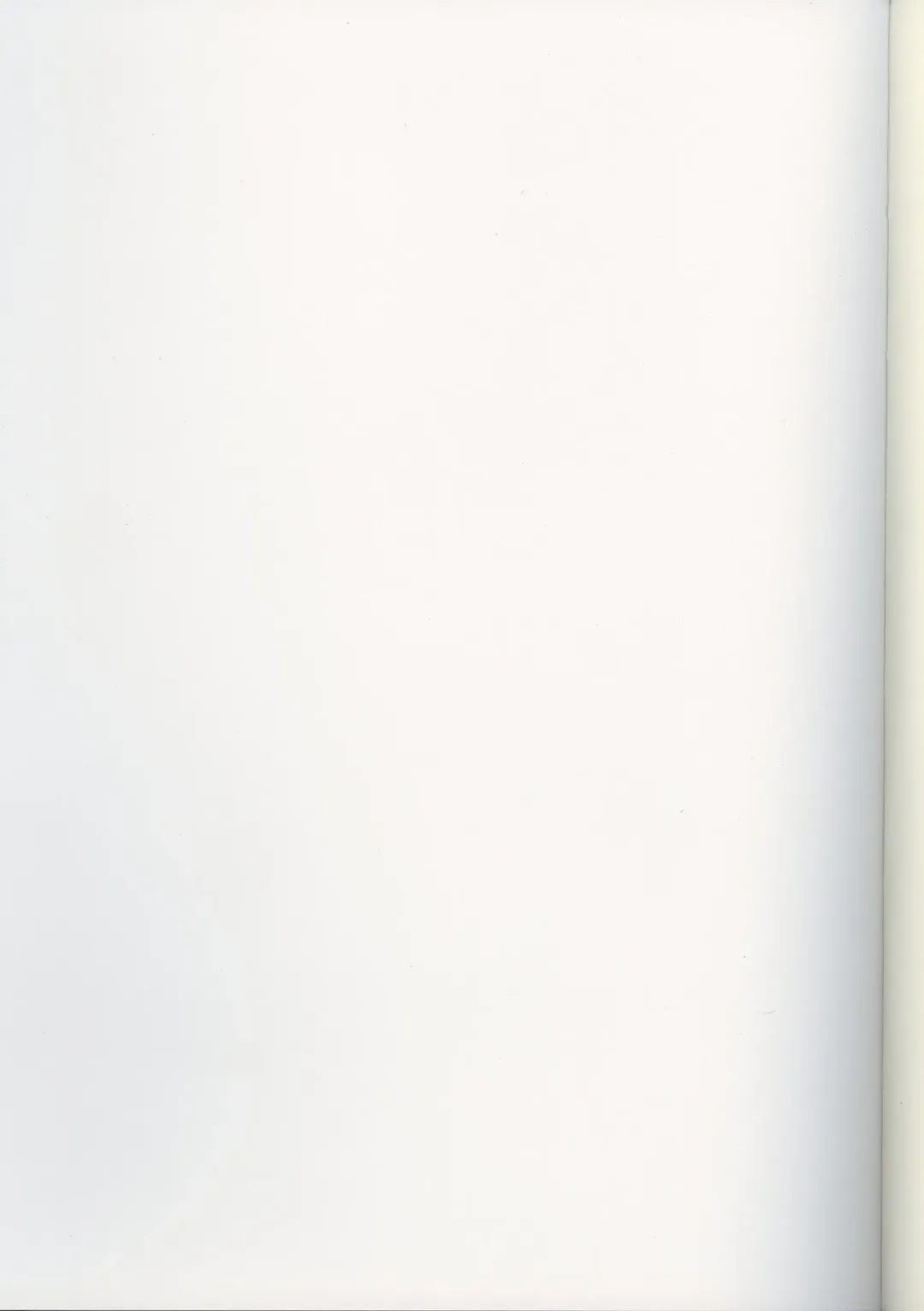 Futari no Aniyome AFTER STORY BOOK Fhentai - Page 55