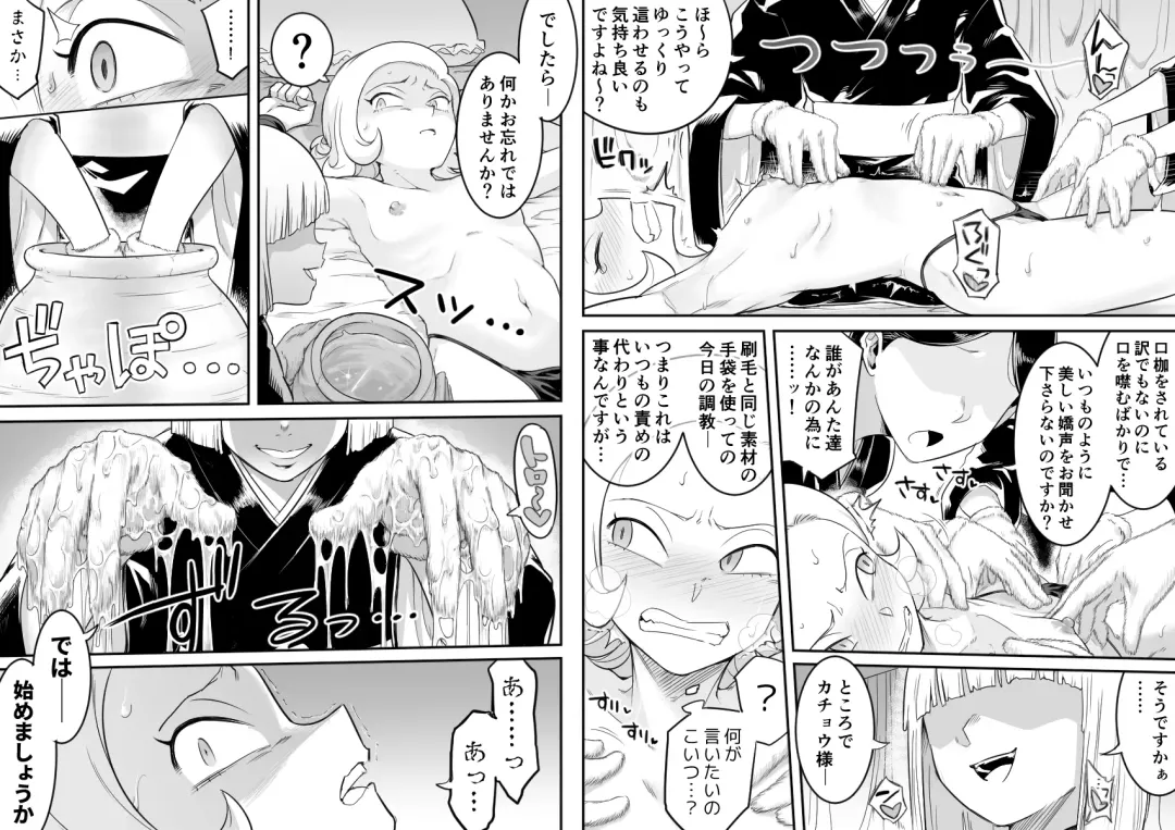 [Shine Nabyss] Kachou Seidorei Choukyou II Fhentai - Page 17