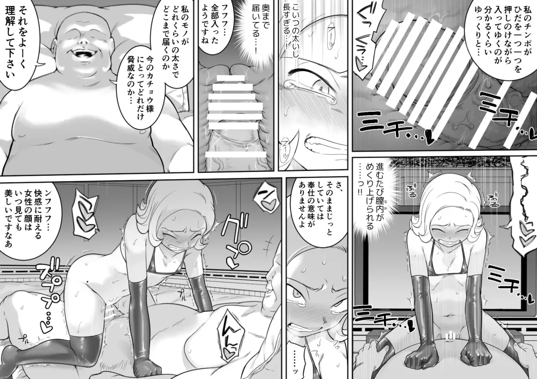 [Shine Nabyss] Kachou Seidorei Choukyou II Fhentai - Page 37