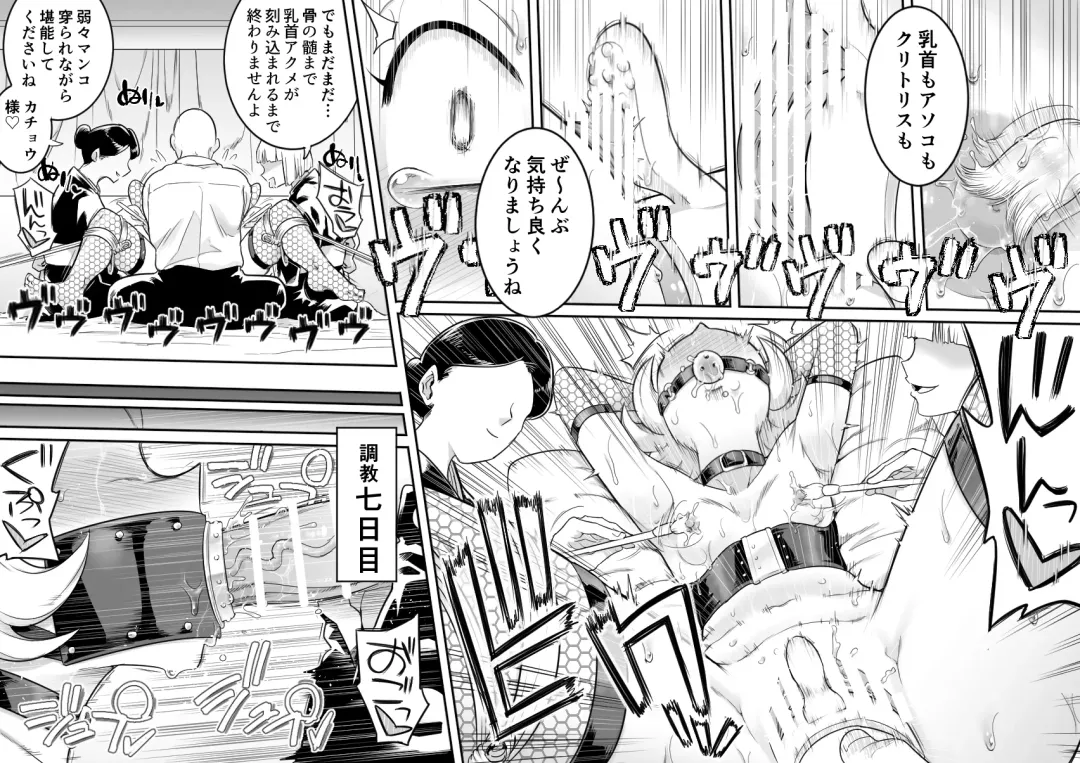 [Shine Nabyss] Kachou Seidorei Choukyou II Fhentai - Page 7