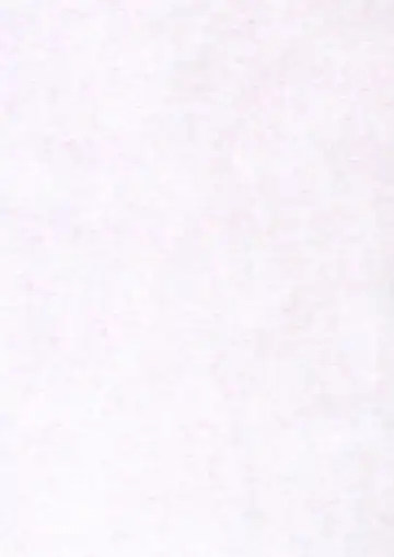 [Nakajima Rei] Maggy Bouillon Fhentai - Page 2