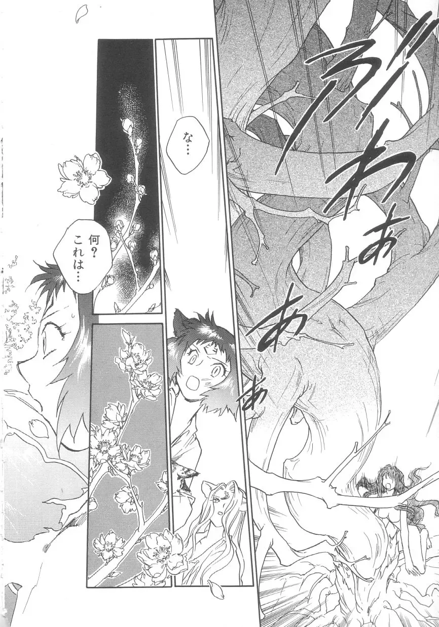 [Okano Ahiru] Touka Gengi Gekan Fhentai - Page 146