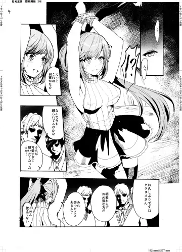 [Alber] Clarisse no Sonzaikachi Fhentai - Page 6