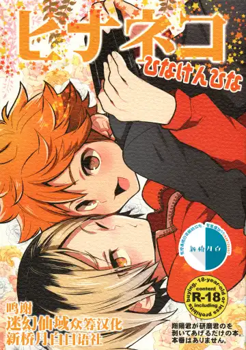 Read [S.kosugi] Hina Neko - Fhentai