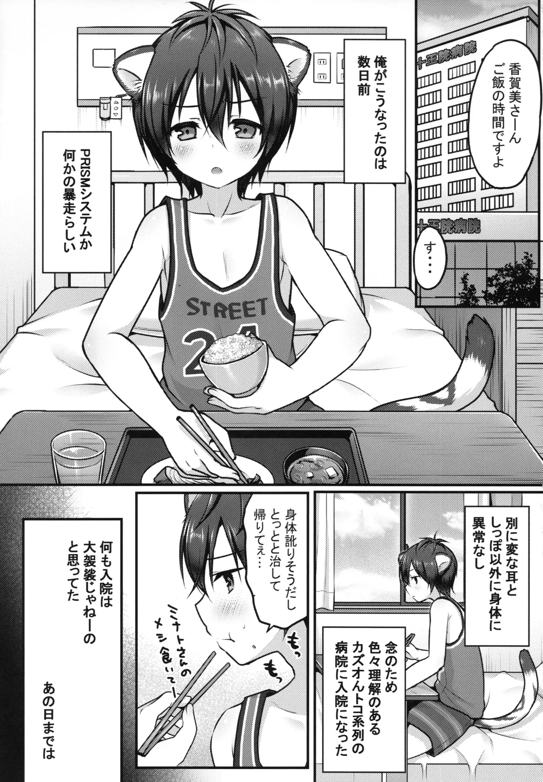 [Sakura Puchilo] Hatsujo Taiga Fhentai - Page 4