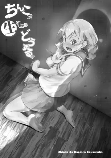 [Ayanakitori] Chinko ga Haetara Dou Suru ka Fhentai - Page 2