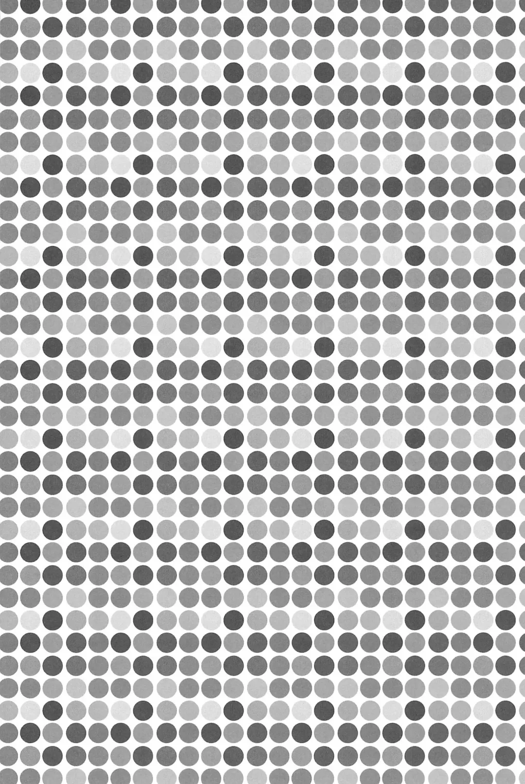 [Gyarin] synergy | 两情相悦 Fhentai - Page 3