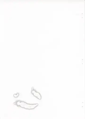 [Oota Yuuichi] SILVIA Fhentai - Page 14