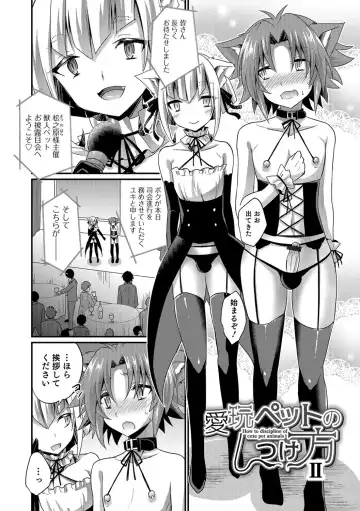 [Kaitou Yuuhi] Kawaii otokonoko no shitsuke-kata Fhentai - Page 169