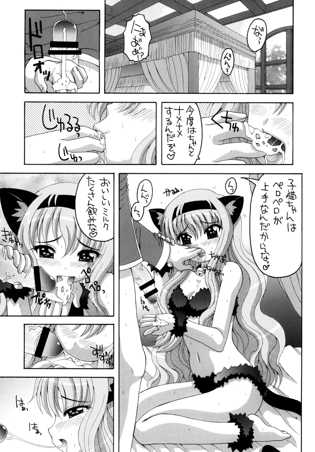 [Asano Yukino] Nekomimi Louise-tan Fhentai - Page 10