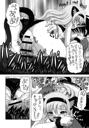 [Asano Yukino] Nekomimi Louise-tan Fhentai - Page 21