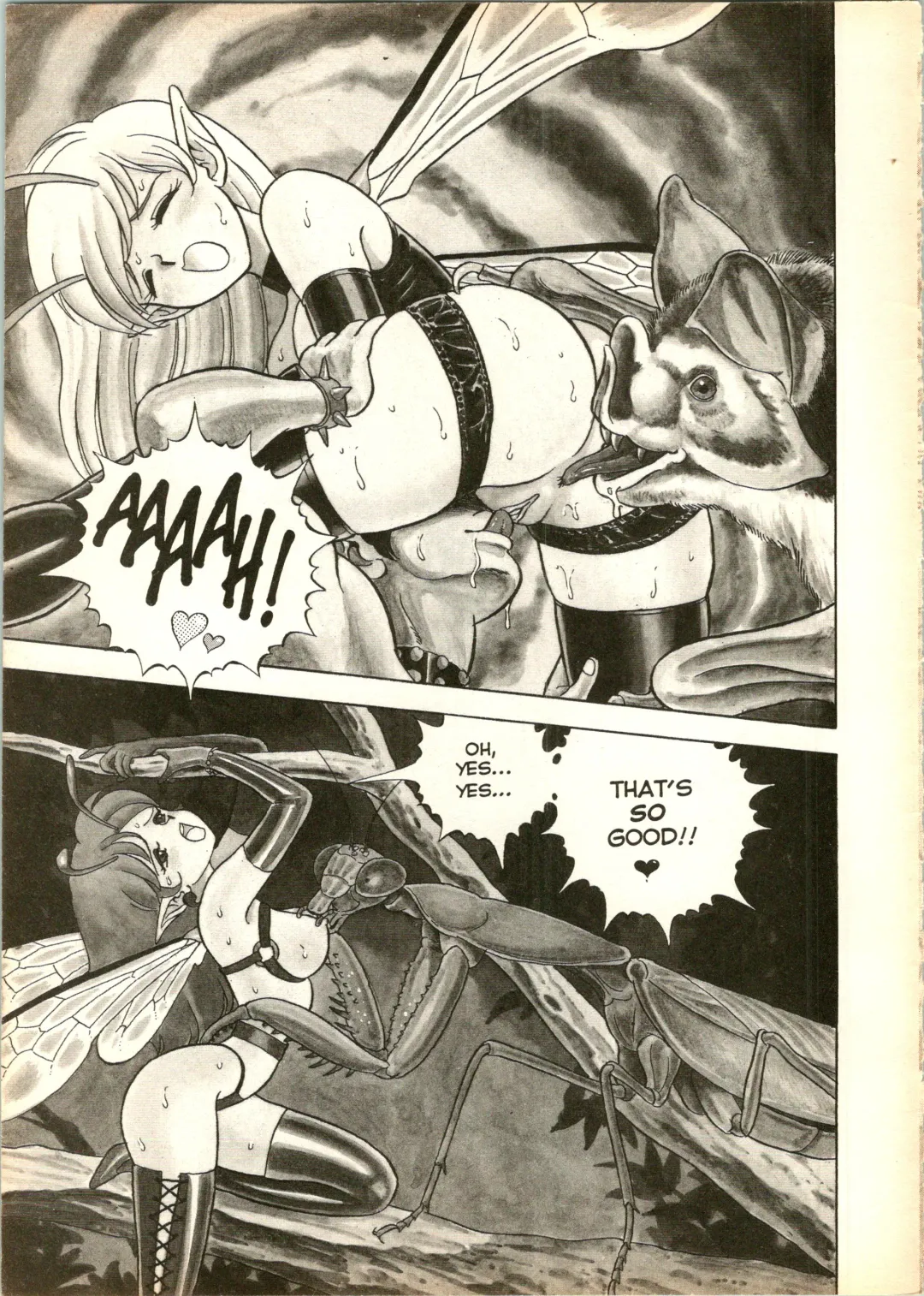 [Kondom] The New Bondage Fairies 13 Fhentai - Page 4